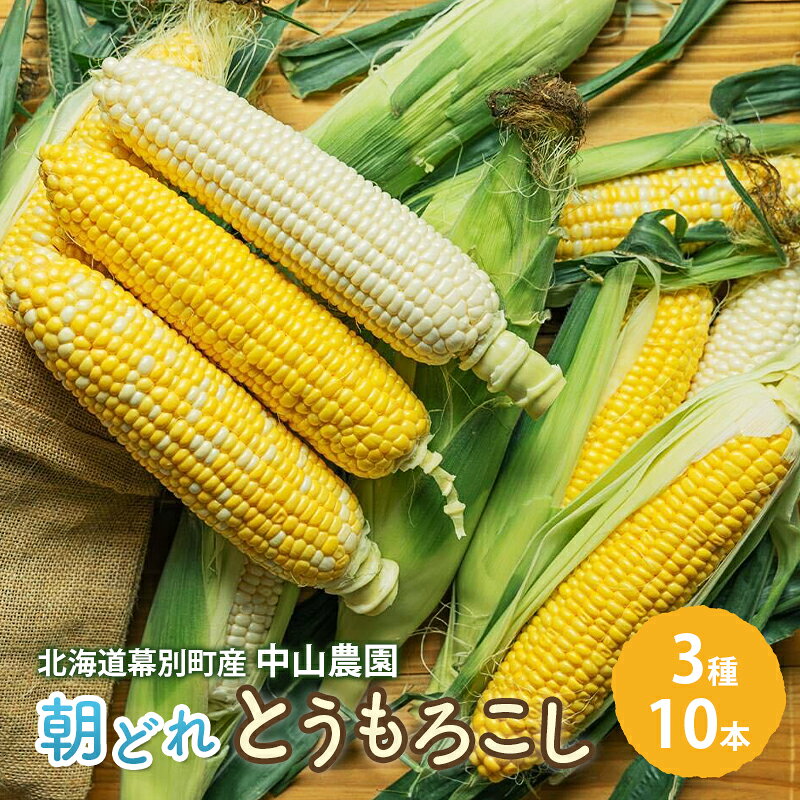【ふるさと納税】北海道 幕別町産 中山農園 朝どれ とうもろこし 3種 10本 （1本350g以上） [ 北海道産 スイートコーン 野菜 十勝 幕別 新鮮 テレビで紹介 ]　お届け：2026年8月中旬～9月中旬まで