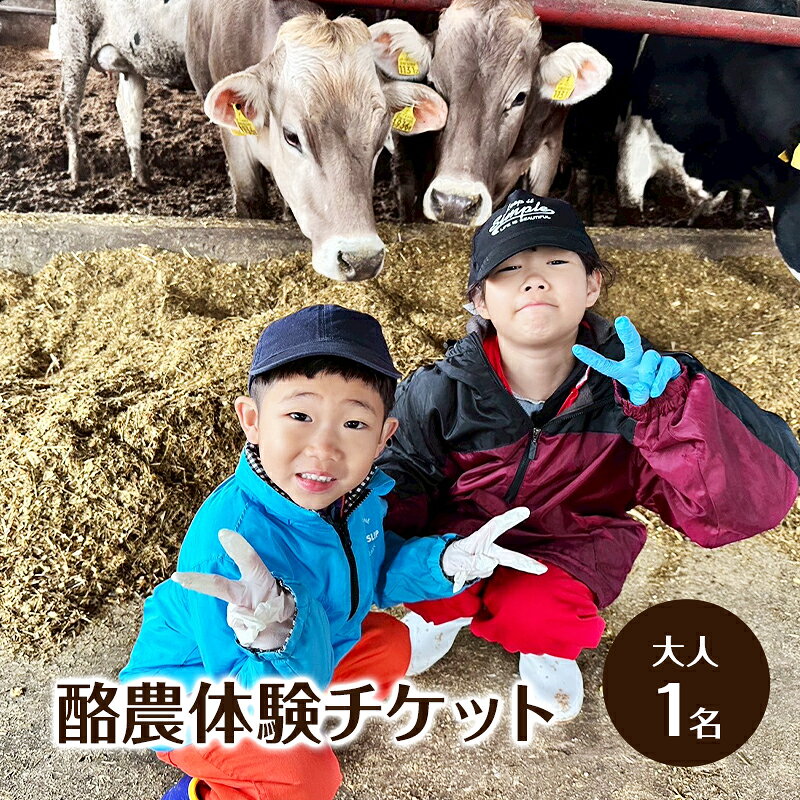 酪農体験チケット 大人1名 [ 体験チケット 酪農 北海道 幕別町 牛 搾乳 牧場 自然 ]
