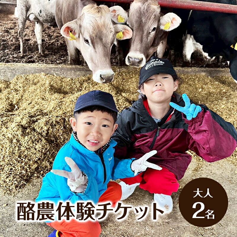 【ふるさと納税】酪農体験チケット 大人2名 【 体験チケット 酪農 北海道 幕別町 牛 搾乳 牧場 自然 】