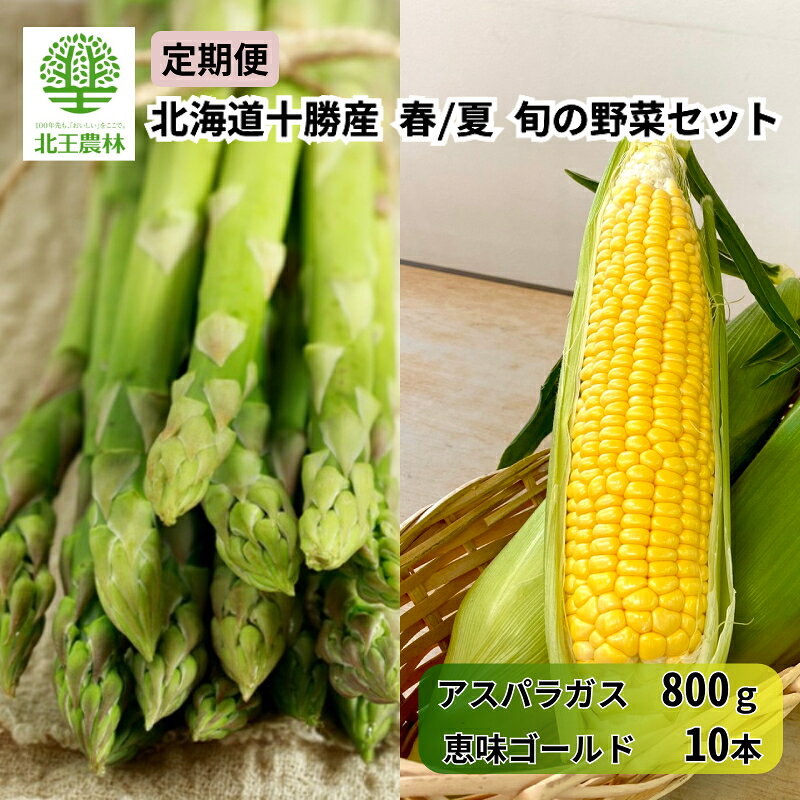 【ふるさと納税】[2027年発送/先行予約] 定期便 十勝幕別の旬野菜 春夏 2回お届け（アスパラガス 800g...