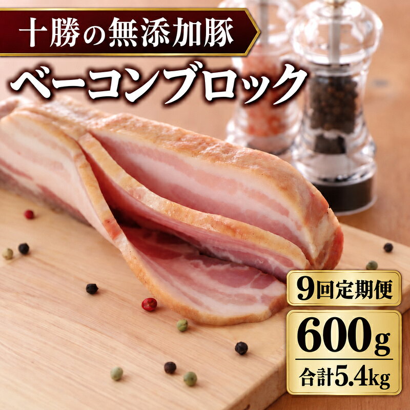 9ヵ月定期便 十勝の無添加豚 ベーコンブロック 600g ［うらがみミート］ 無塩せき 保存料・結着剤不使用【 ベーコン 詰め合わせ 肉 豚 国産 惣菜 おつまみ 料理 加工品 北海道 十勝 幕別 】