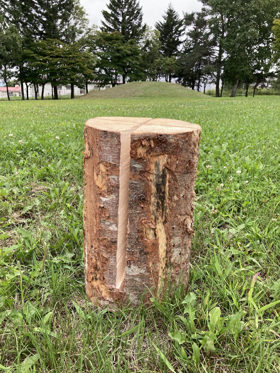 【ふるさと納税】スエーデントーチ 北海道 キャンプ アウトドア 焚き火 P053-2-1