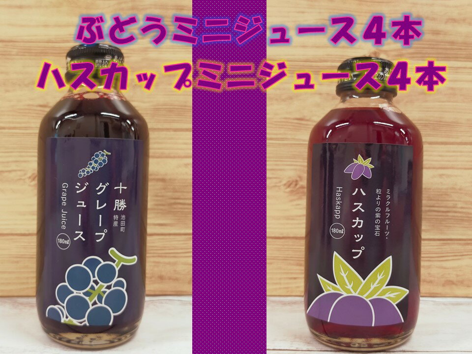 北海道 ぶどうとハスカップのミニジュースA042-4-1