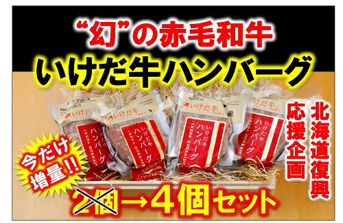 18位! 口コミ数「0件」評価「0」”幻”の赤毛和牛!いけだ牛ハンバーグ4個セットA041-5-1