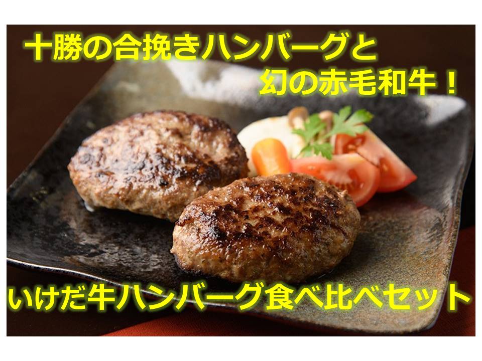 10位! 口コミ数「0件」評価「0」北海道 十勝の合挽きハンバーグといけだ牛ハンバーグ食べ比べセットA041-6-2