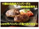 【ふるさと納税】A041-6 北海道 十勝の合挽きハンバーグと゛幻"の赤毛和牛!いけだ牛ハンバーグ食べ比べセット