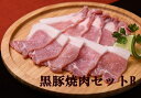 【ふるさと納税】北海道 黒豚焼肉セットB（2.4kg）ハンバーグ10個、味噌漬け付　C012-3-1 1