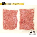 【ふるさと納税】訳あり 北海道産牛ひき肉 1000g 1kg 北海道牛肉100% 便利 オススメ 冷凍 お弁当 惣菜 おかず 無添加 簡単調理 家計応援 100...