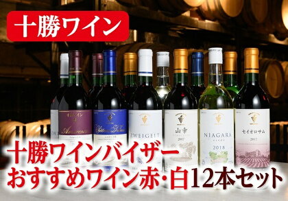 北海道 十勝ワイン バイザーおすすめワイン赤・白12本セットD002-3-3