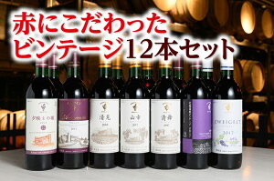 【ふるさと納税】D001-1-1 北海道 十勝ワイン 赤にこだわったビンテージ12本セット