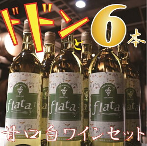【ふるさと納税】【数量限定！】十勝ワイン6本セット(甘口・白ワイン）北海道 ワイン