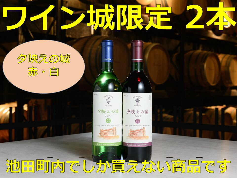 北海道 十勝ワイン 池田町ワイン城限定2本セットA001-3-2