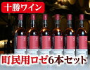 【ふるさと納税】A001-7 北海道 十勝ワイン 町民用ロゼ6本セット