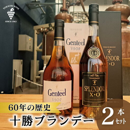 【ふるさと納税】高級十勝ブランデー2本セット 計1.4L ブランデー XO VSOP 高級 15年熟成 各1本700ml×2本 アルコール40% ジェンティール スプレンダー 60年の歴史 【ふるさと納税】高級十勝ブランデー2本セット 計1.4L ブランデー XO VSOP 高級 15年熟成 各1本700ml×2本 アルコール40% ジェンティール スプレンダー 60年の歴史