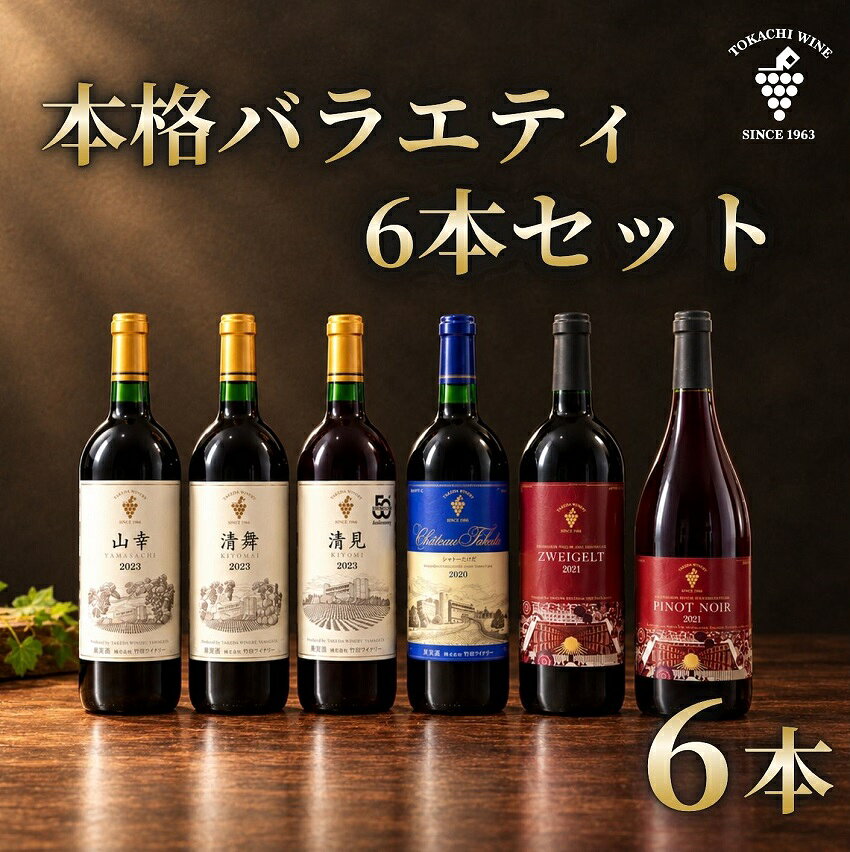 【厳選赤ワイン】十勝ワイン6本セレクション 北海道池田町 赤ワイン 本格派 十勝ワイン ビンテージ 赤ワインセット 送料無料