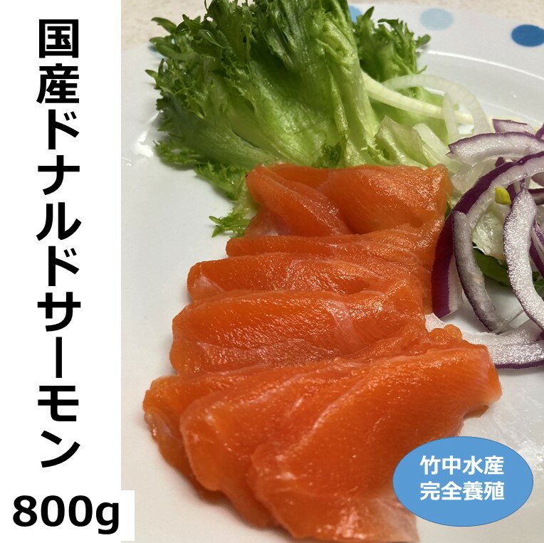 北海道 国産ドナルドサーモン(生食用) 800g[A015-3-1]