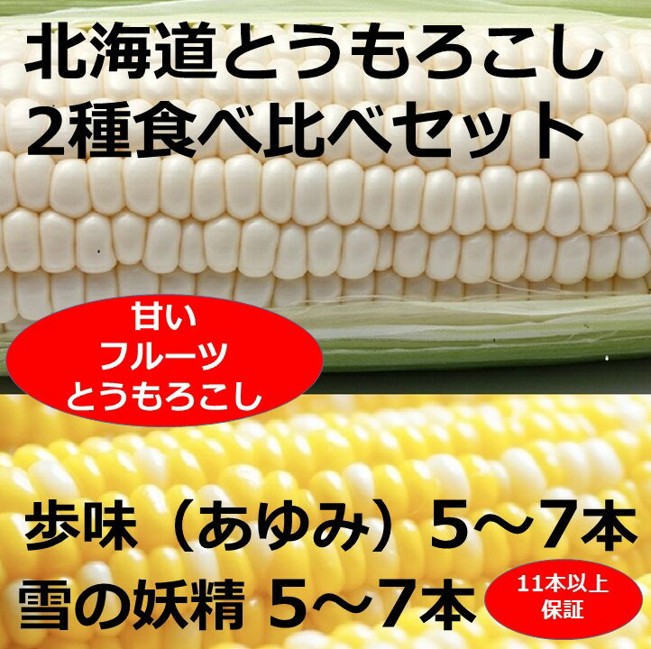 【ふるさと納税】訳あり 北海道 朝獲れ とうもろこし 2種 食べ比べセット 11～13本 甘い トウモロコシ 人気