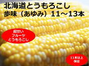 24位! 口コミ数「0件」評価「0」訳あり とうもろこし 11~13本 歩味（あゆみ）バイカラーコーン 甘い とうもろこし 北海道 11本以上保証