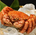 【ふるさと納税】活ゆで 毛蟹(2尾)計1050〜1100g 冷蔵 かに 蟹 カニ 国産 ふるさと納税 送料無料 贈答 ギフト