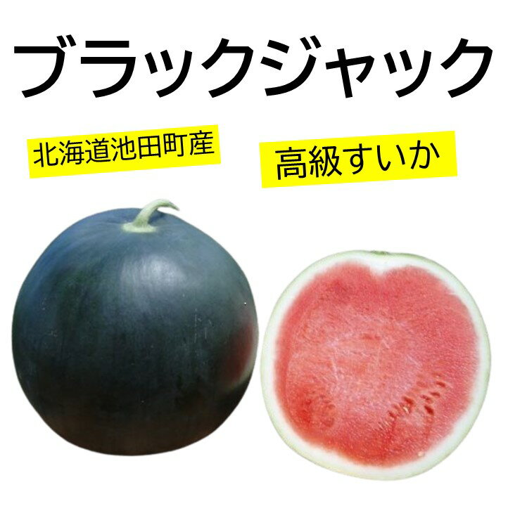 高級 すいか ブラックジャック 高級スイカ スイカ ふるさと納税 送料無料 贈答 ギフト 期間限定 数量限定