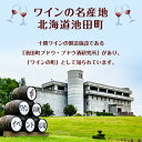 北海道池田町の画像3