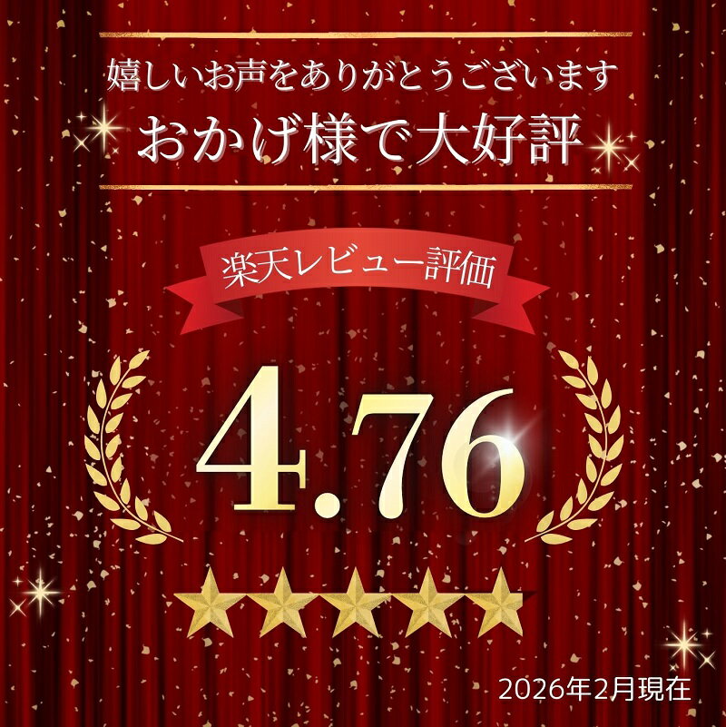 【ふるさと納税】黒豚 しゃぶしゃぶセットA 北海道 2250g ハンバーグ5個付 小分け 冷凍 シャブシャブ 豚肉 お肉 ロース 切り落とし バラ
