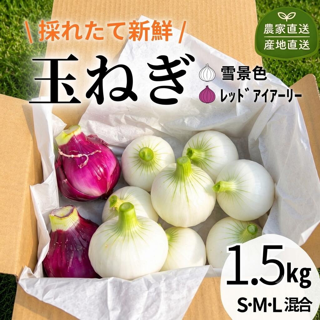 [有機堆肥・栽培期間中農薬不使用]シャキ甘 白&赤玉ねぎミックス 1.5kg サラダ用 北海道産 十勝 池田町 ゆうゆう農園(たまねぎ 2色 食べ比べ)玉ねぎ たまねぎ 送料無料 期間限定 数量限定