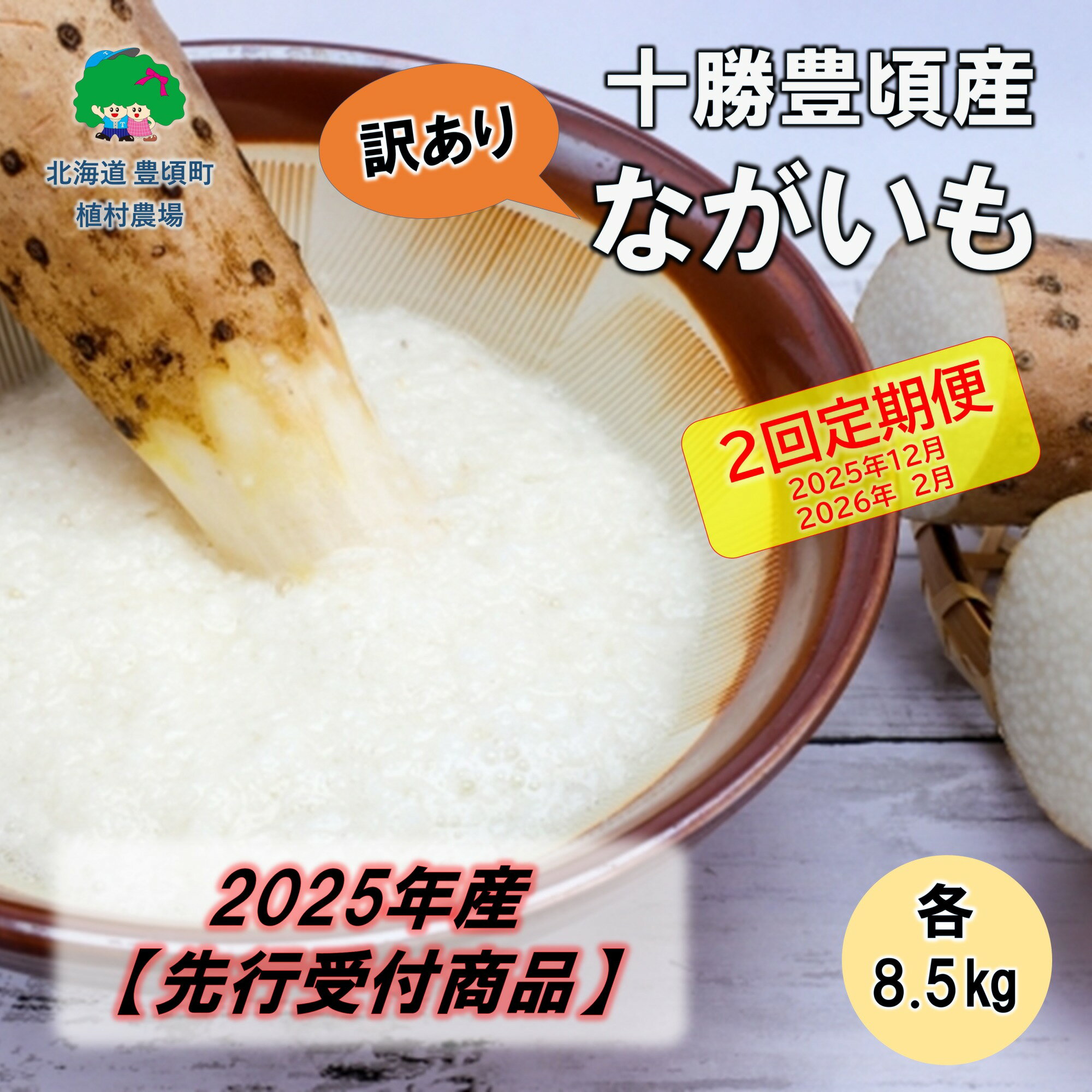 【ふるさと納税】【訳あり】2025年産 十勝豊頃産 ながいも 各8.5kg【2回定期便 2025年12月・2026年2月発送】(先行受付)【植村農場】" 北海道 十勝 豊頃町 " 先行予約 予約 特産 農家直送 数量限定 送料無料