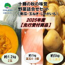 【ふるさと納税】十勝の秋の味覚 野菜詰め合わせ(南瓜・玉ねぎ・じゃがいも)セット【2025年産】(先行受付)】【工房みみずく】