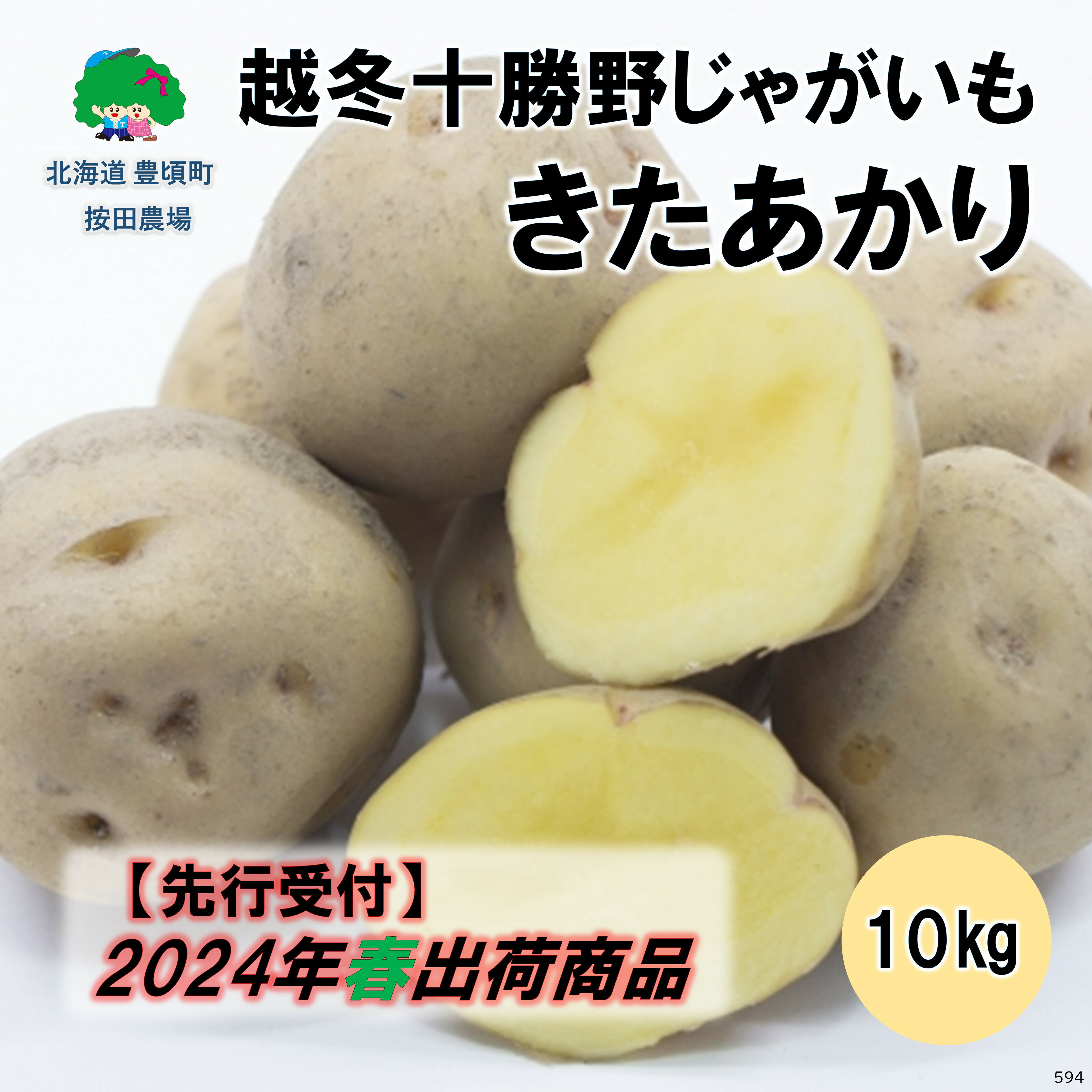 【ふるさと納税】【2024年春より出荷開始商品】越冬十勝野じゃがいも きたあかり10kg［按田農場］北海道 十勝 豊頃町 先行予約 予約 特産 農家直送 数量限定 送料無料