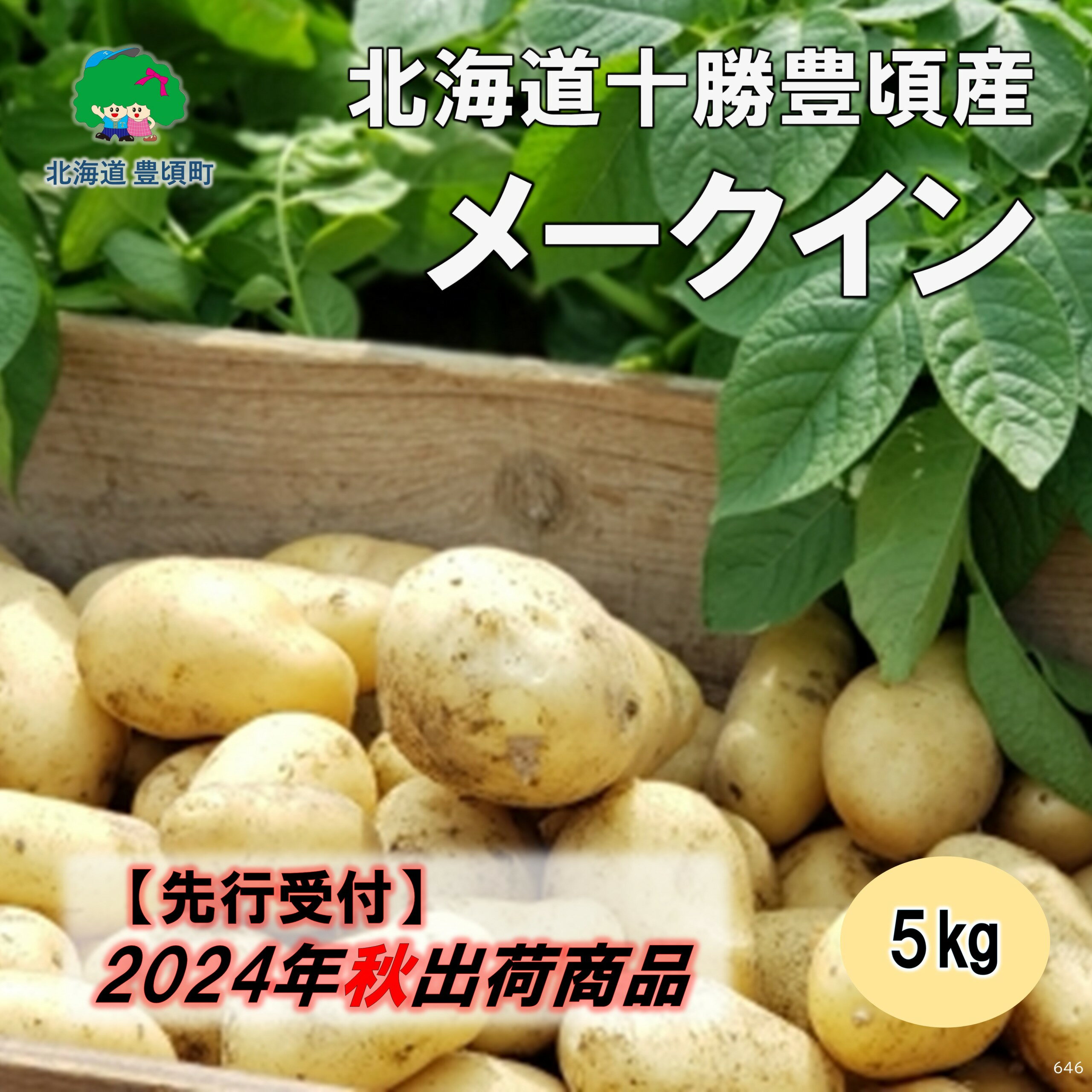 【ふるさと納税】 2024年秋出荷 先行予約商品 北海道 十勝豊頃産 じゃがいも メークイン 5kg［遠藤農場株式会社］ 北海道 十勝 豊頃町 先行予約 予約 特産 農家直送 数量限定 送料無料