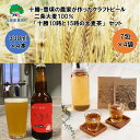 【ふるさと納税】 十勝 ・ 豊頃 の農家が作った クラフトビール 330ml×4本・ 二条大麦 100%「 十勝10時と15時の大麦茶 」7包×4袋セット