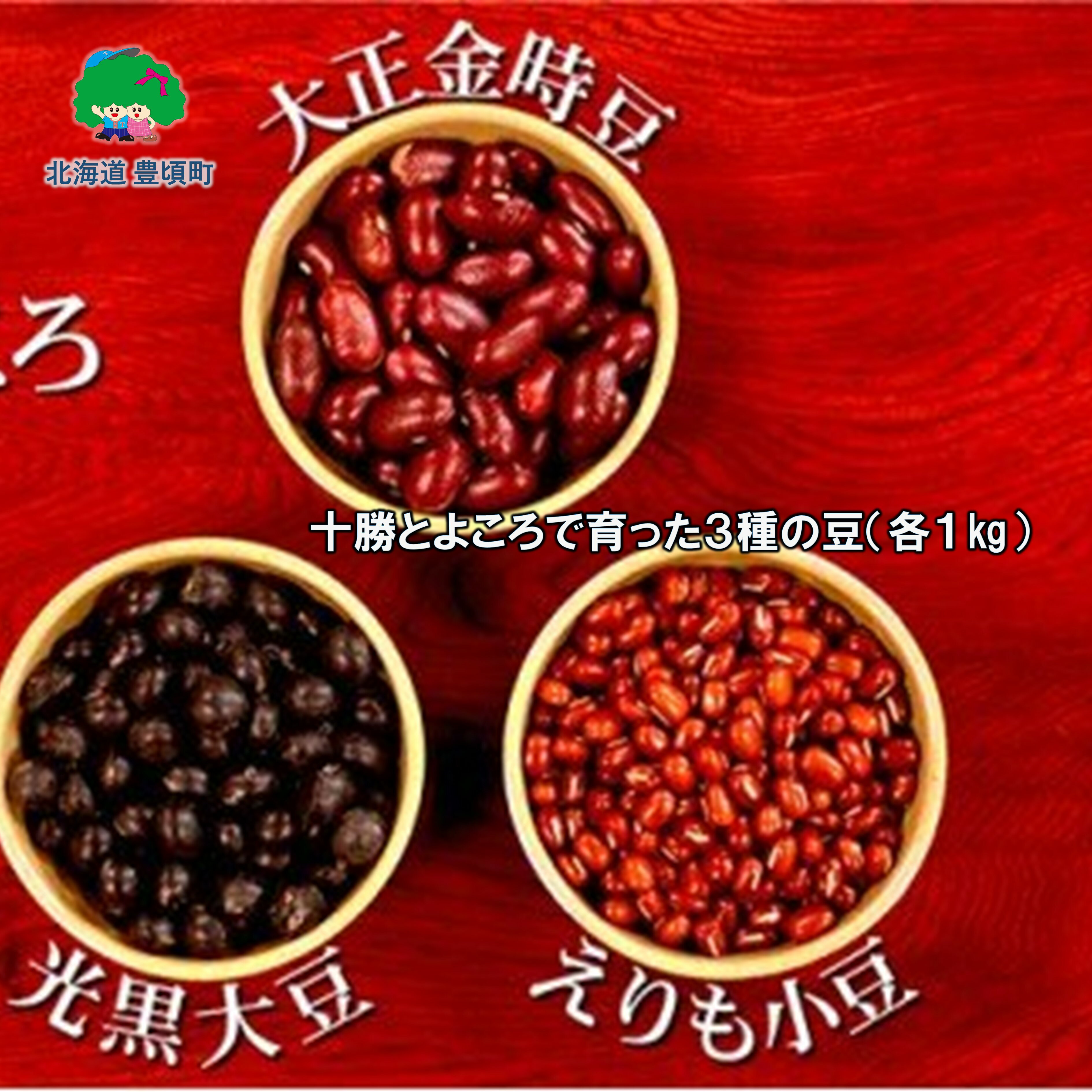 十勝とよころで育った3種の豆×各1kg[豊頃町農業協同組合]" 北海道 十勝 豊頃町 " 特産 農家直送 数量限定 送料無料 小豆 金時 光黒大豆 とよころ あずき しょうず だいず くろまめ まめ 豆