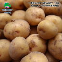 20位! 口コミ数「0件」評価「0」十勝野じゃがいも きたあかり10kg【2024年秋出荷】［按田農場］