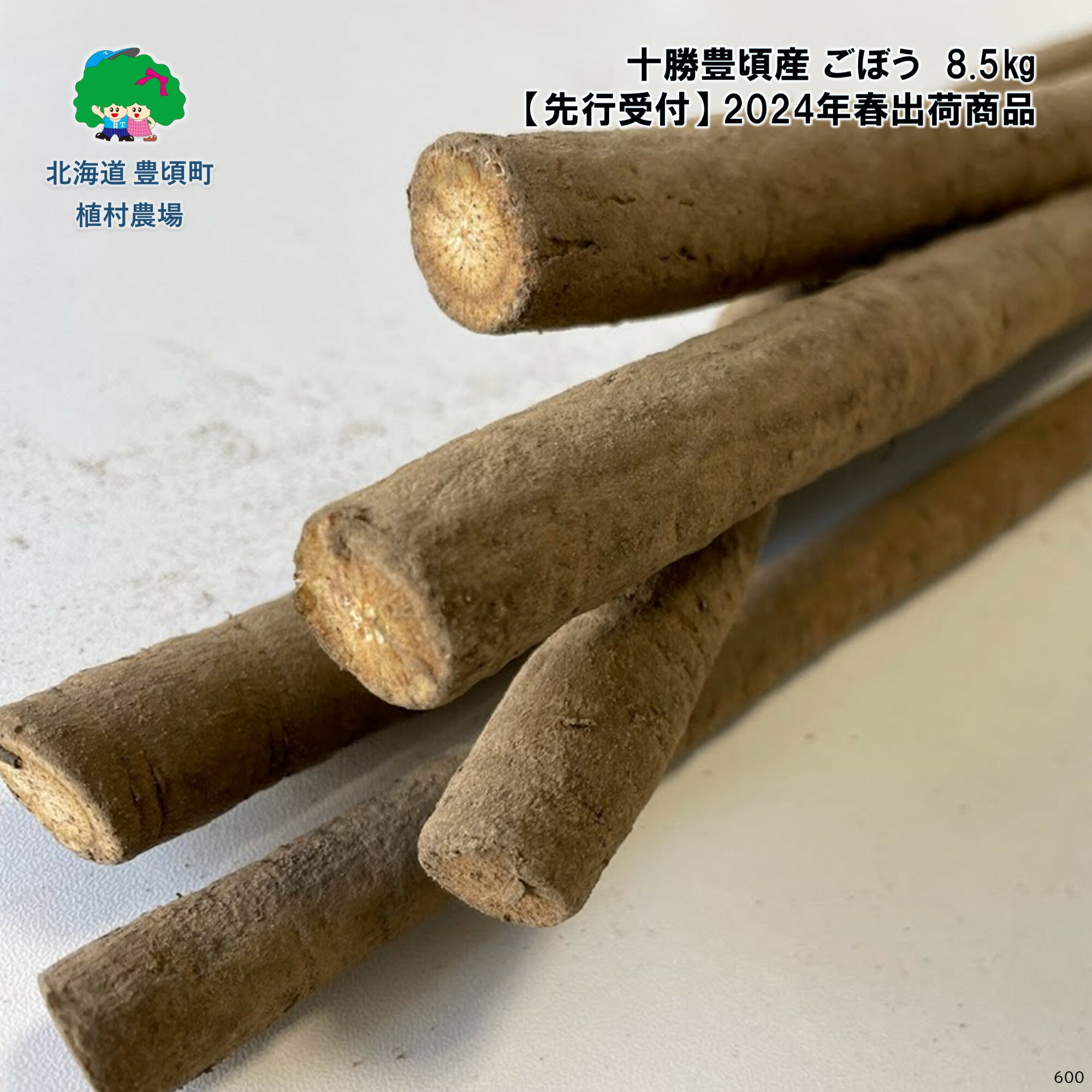 【ふるさと納税】【2024年春出荷（先行予約）】十勝豊頃産 ごぼう8.5kg【植村農場】