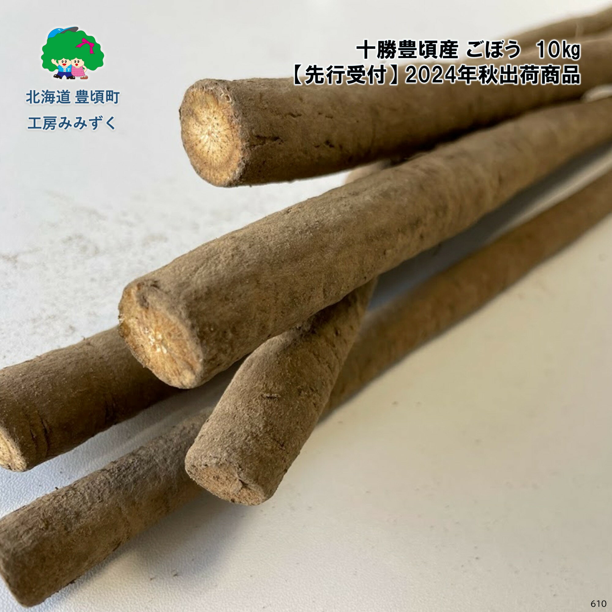 【ふるさと納税】【 2024年 秋出荷 （先行予約商品）】十勝豊頃産 ごぼう 約10kg［工房みみずく］ 北...