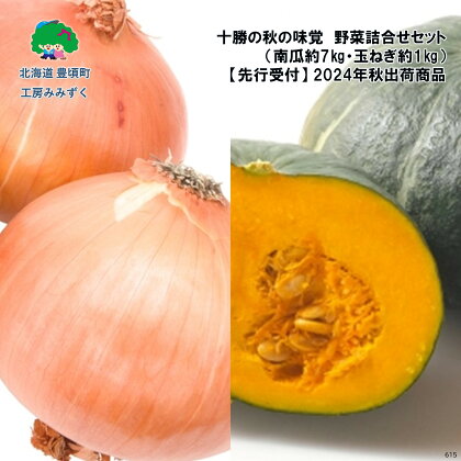 【 2024年 秋出荷 （先行予約商品）】十勝の 秋の味覚　野菜 詰合せ（ 南瓜 ・ 玉ねぎ ）セット " 北海道 十勝 豊頃町 " 先行予約 予約 特産 農家直送 数量限定 送料無料 かぼちゃ カボチャ たまねぎ 味覚 ほくほく ホクホク