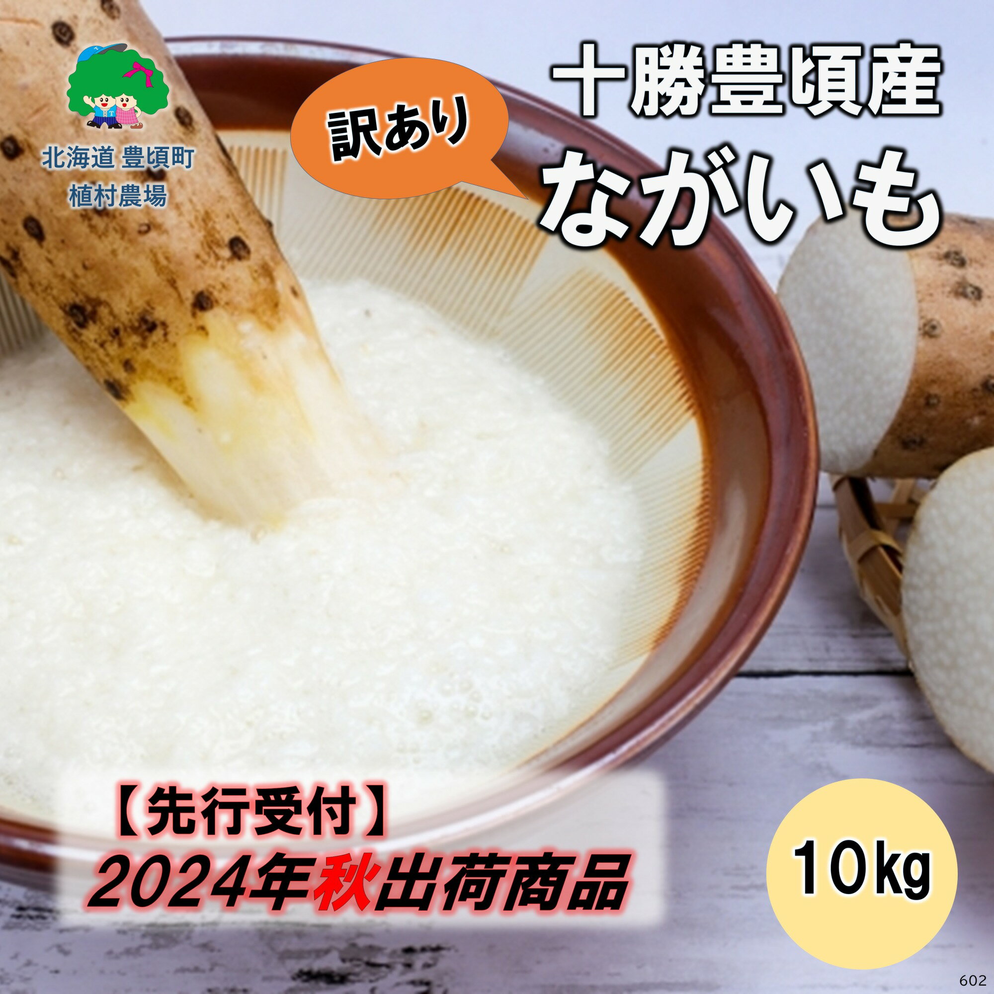 【ふるさと納税】【 2024年 秋出荷 （先行予約）】【 訳あり 】十勝豊頃産 ながいも 10kg【植村農場】