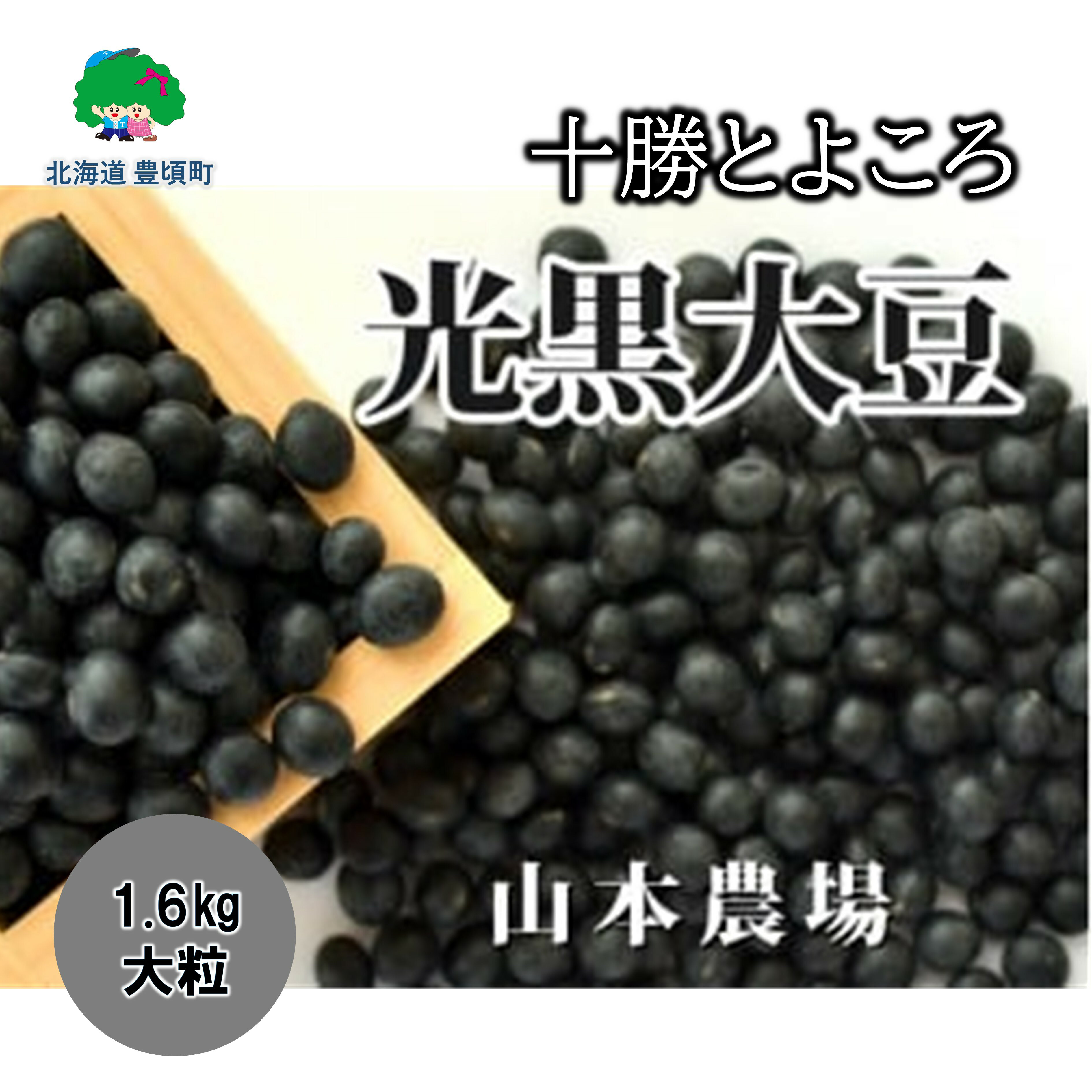 【ふるさと納税】山本農場 十勝とよころ 光黒大豆 1.6kg（大粒） 北海道 十勝 豊頃町 特産 農家直送 数量限定 送料無料 とよころ 大豆 くろまめ 黒豆 まめ 豆