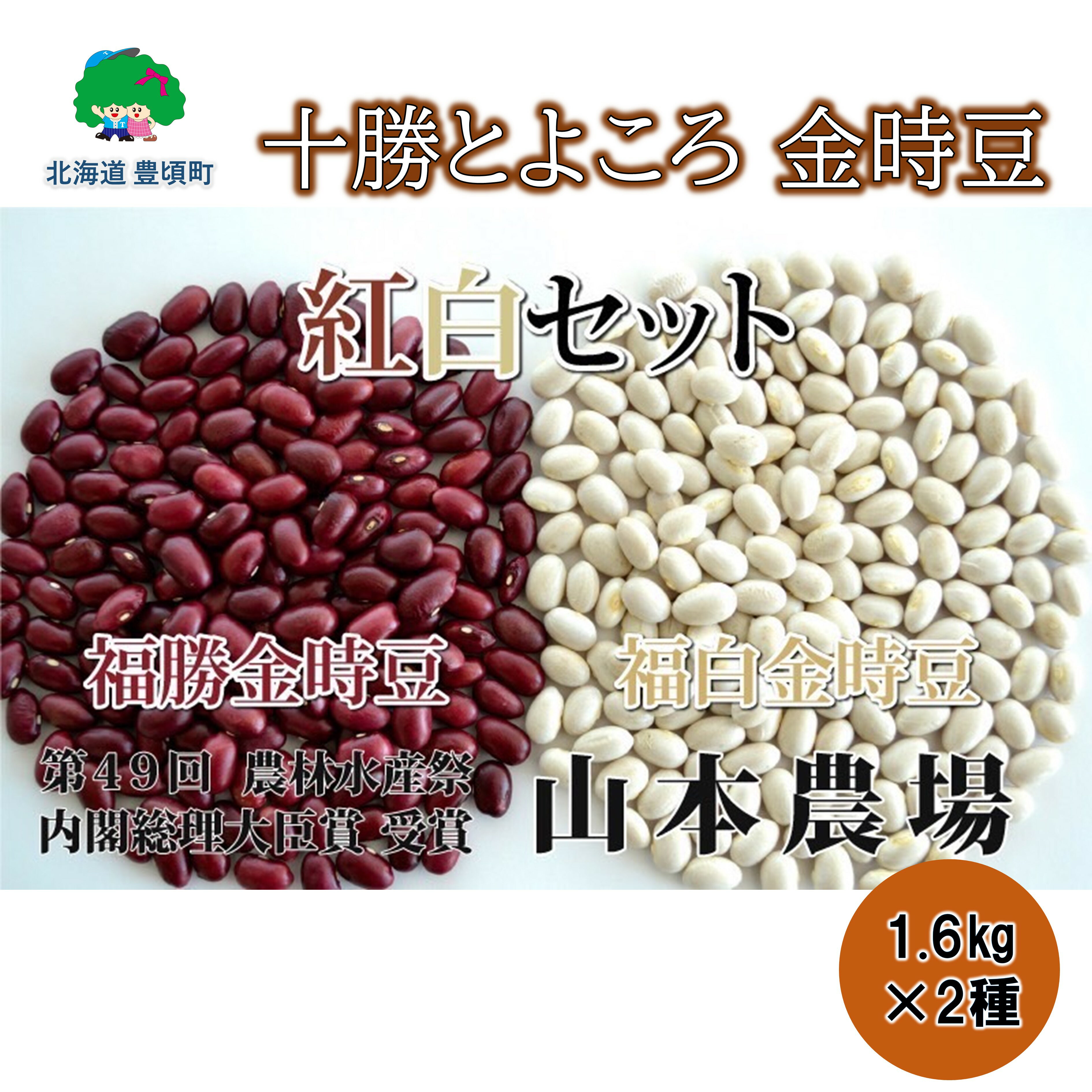 【ふるさと納税】山本農場 十勝とよころの 金時豆 紅白詰合せ 1.6kg×2種 北海道 十勝 豊頃町 特産 農家直送 数量限定 送料無料 とよころ 金時 きんとき まめ 豆