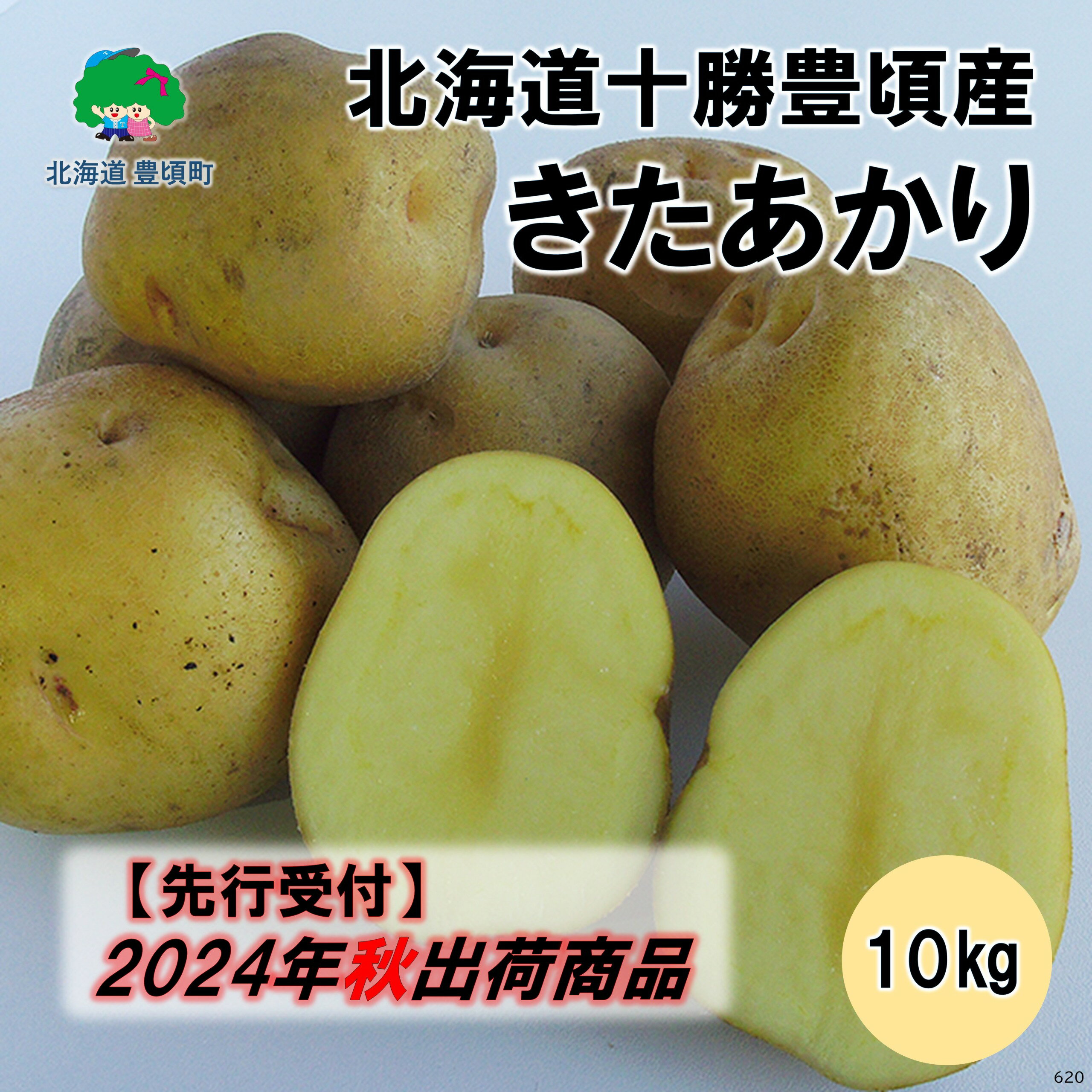 【ふるさと納税】【 2024年 秋出荷 （先行予約商品）】北海道十勝豊頃産 きたあかり 10kg［安田農場］ 北海道 十勝 豊頃町 先行予約 予約 特産 農家直送 数量限定 送料無料 じゃがいも ジャガイモ いも 北あかり ホクホク ほくほく 甘い 野菜