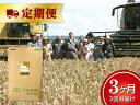 【ふるさと納税】北海道十勝 前田農産パン用小麦粉「キタノカオ...
