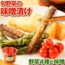 【ふるさと納税】北海道十勝 醗酵食品「樽仕込み 旬野菜の味噌漬け」渋谷醸造株式会社 《60日以内に出荷予定(土日祝除く)》 北海道 本別町 旬 野菜 味噌づけ ...