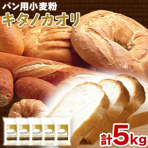 【ふるさと納税】パン用小麦粉 キ
