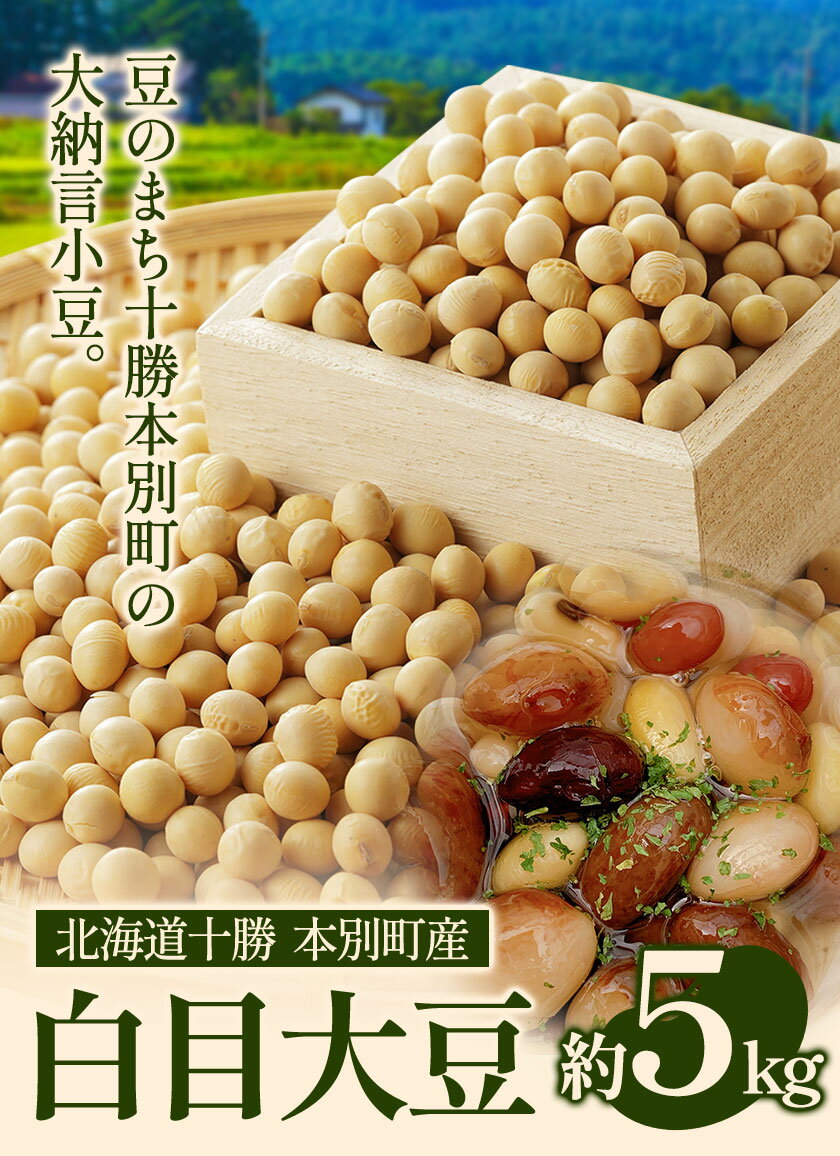 【ふるさと納税】令和6年度産 白目大豆5kg 北海道十勝 本別町産《60日以内に出荷予定(土日祝除く)》本別町農業協同組合 送料無料 北海道 本別町