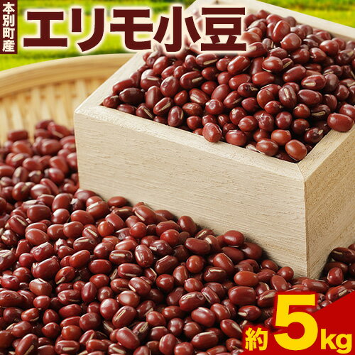 【ふるさと納税】令和5年度 北海道十勝 本別町産 エリモ小豆