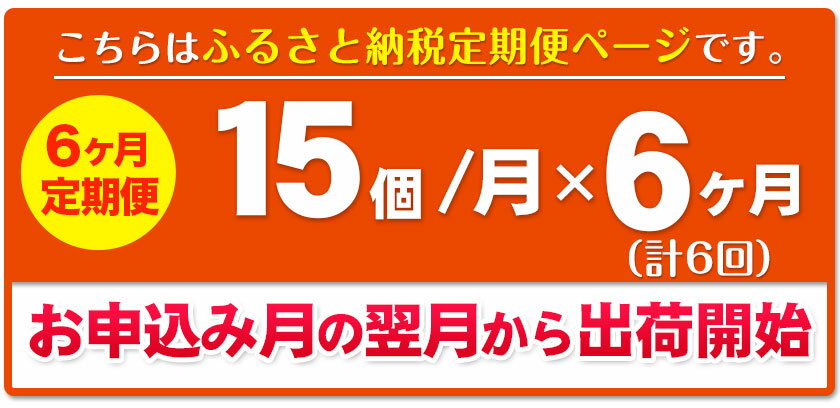 【ふるさと納税】6ヶ月定期便 北海道十勝産大豆 黒いダイヤ キレイマメ 黒豆納豆 35g×15個セット 合計90個お届け 有限会社 やまぐち醗酵食品《お申込み月の翌月から出荷開始》北海道 本別町 送料無料 国産納豆 朝食 健康 詰合せ お取り寄せ 定期便 計6回お届け ご飯のお供