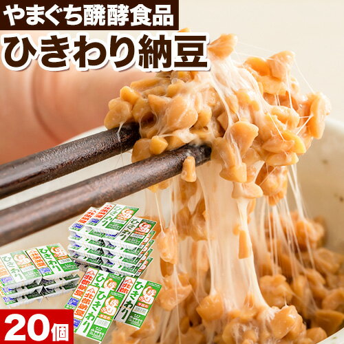 北海道十勝産大豆 やまぐち醗酵食品 ひきわり納豆 70g×20個セット 有限会社やまぐち醗酵食品 [30日以内に出荷予定(土日祝除く)] 北海道 本別町 国産納豆 朝食 納豆 健康 詰合せ お取り寄せ ギフト ご飯のお供 送料無料