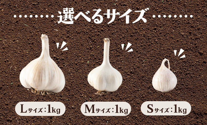 【ふるさと納税】土付き にんにく 白玉王 1kg 選べるサイズ S or M or L サイズ 本別町産 斎啓一 北海道 本別町 送料無料 ニンニク ガーリック 乾燥にんにく スタミナ 野菜 1キロ 《8月中旬-9月下旬頃出荷》 3