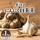 【ふるさと納税】土付き にんにく 白玉王 1kg 選べるサイズ S or M or L サイズ 本別町産 斎啓一 北海道 本別町 送料無料 ニンニク ガーリック 乾燥にんにく スタミナ 野菜 1キロ 《8月中旬-9月下旬頃出荷》